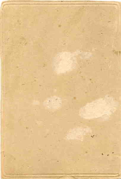 Комбриг РККА с орденом БКЗ РСФСР в "розетке".