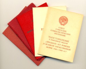 Доки на одного, МВД (4101)