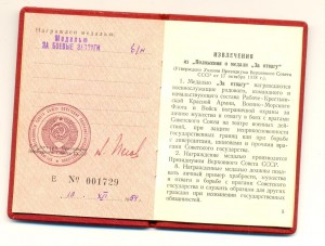 Доки на одного, МВД (4101)
