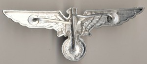 Орлы ветеранской организации Национал-социалистического союз