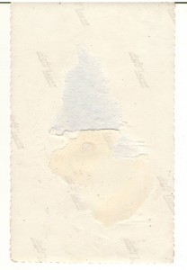 С шашкой и шпорами