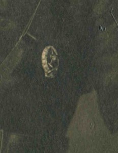 Ст. воен.комиссар 6 и 7 учеб.батарей тов.В.ДОБРЯКОВ. 1919-20