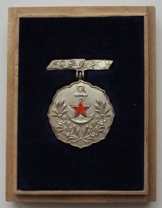 Японский Знак женской лиги поддержки флота, в родной коробке