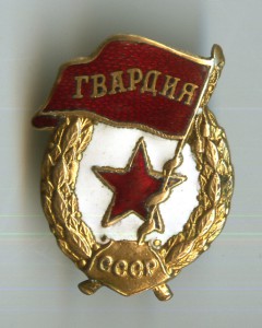 Гвардия с Удостоверением и доками