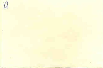 Ворошилов среди Челюскинцев. Москва,1934 г.  2 снимка.