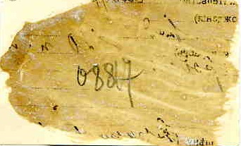 Микоян,Андреев,Ягода,Гамарник. Москва,1936 г.