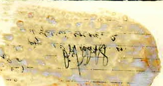 Принц Фейсал на такт.учениях в лагерях РККА. Каменев,Корк.