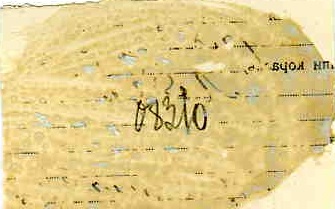 Принц Фейсал на моск.ипподроме здоровается с С.Каменевым.