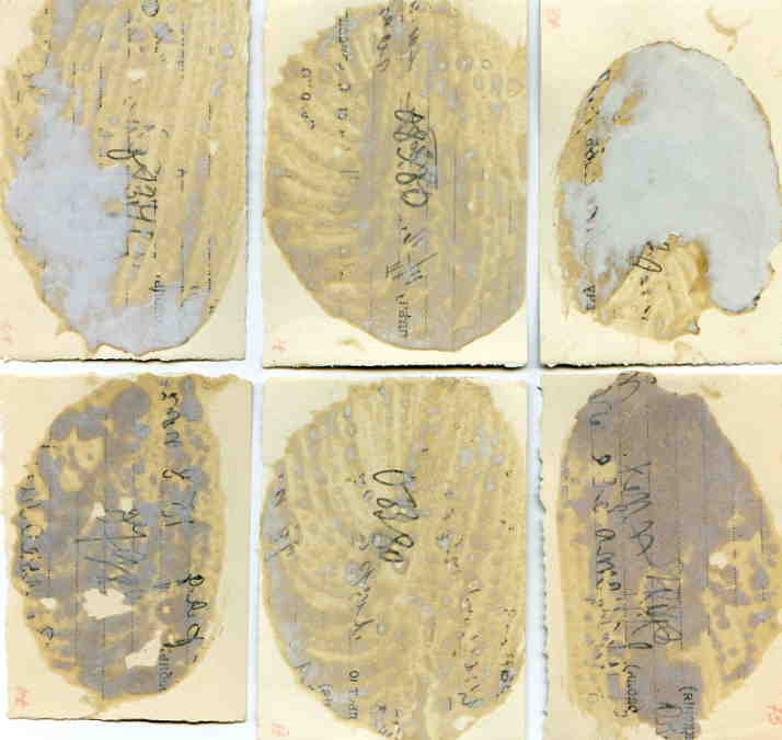 Семён Михайлович Будённый и другие. 9 фото.