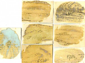 В.М.Молотов и другие. 7 фото.