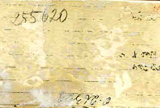 ГСС М.М.ГРОМОВ. Москва.