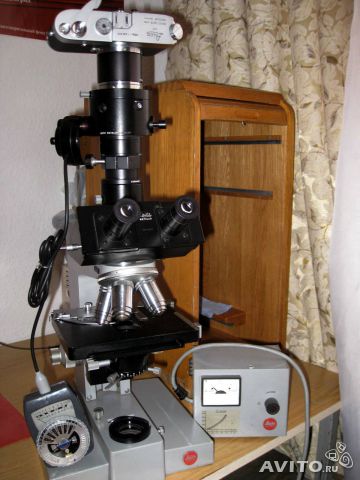 Микроскоп Leica с фотоаппаратом.