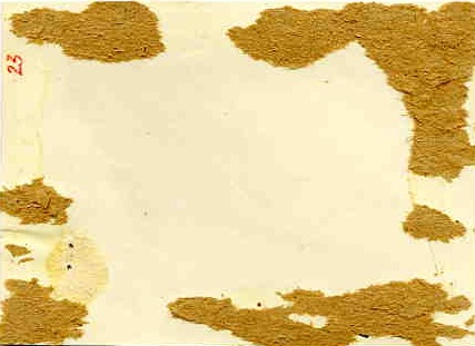 Герой Соцтруда Иван Иванович ХРЕНОВ. 1950 г.