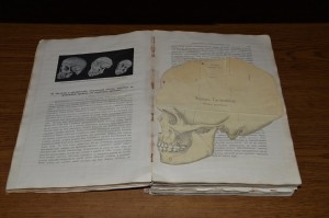 Вселенная и человечество, 2 том, 1986г.