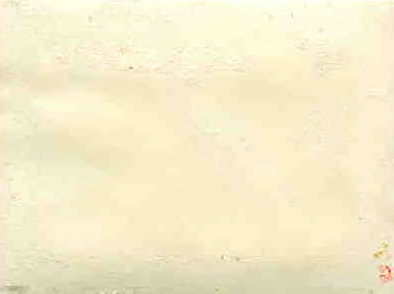 Генерал-лейтанант артиллерии Михаил Артемьв.ПАРСЕГОВ. 1944 г