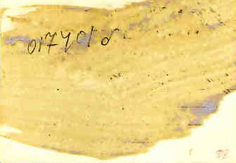 И.В.Сталин с соратниками по партии. Москва, 27 января 1936 г