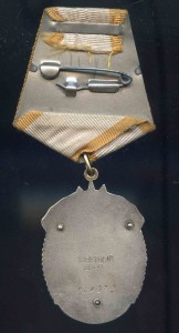 ЗП БЕЗ ПОЯСА  169372
