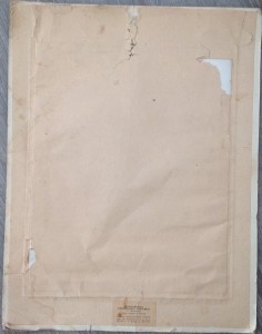 Большой комплект очень хороших грамот и фото на речника МРФ!