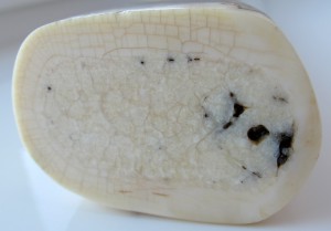 Клык моржа с рисунком