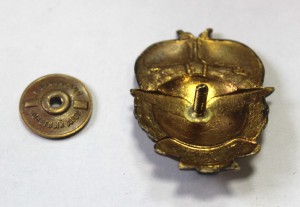 Отличник Аэрофлота  тяжметал