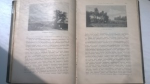 Р.Мутер. История Живописи в 19 веке. т.2-й