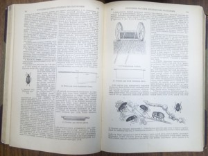 Полные энциклопедии русского сельского хозяйства. 1900-1905