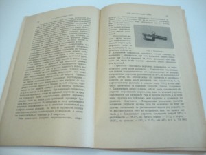 1916г. Сельское хозяйство и лесоводство. Январь.