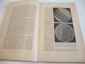 1916г. Сельское хозяйство и лесоводство. Январь.