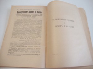 1916г. Сельское хозяйство и лесоводство. Январь.