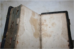 Канонник