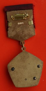 Знак "Мастер золотые руки" с документом.