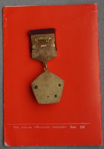 Знак "Мастер золотые руки" с документом.