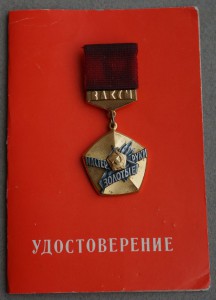Знак "Мастер золотые руки" с документом.