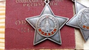 Две 3-х славы на одного+отвага+документы