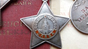 Две 3-х славы на одного+отвага+документы