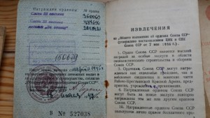 Две 3-х славы на одного+отвага+документы