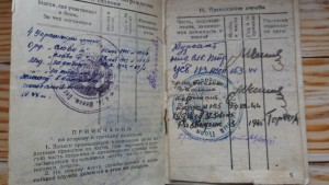 Две 3-х славы на одного+отвага+документы