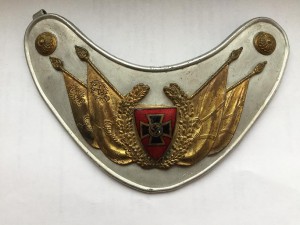 Нагрудная гарда
