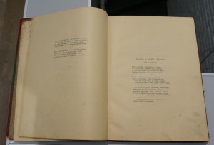 "Восточные мотивы". В,Л.Величко.