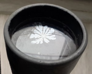 Бинокль Вермахт 10х50