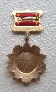 Афганистан. Медаль за отличную военную службу