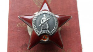 БКЗ в люксе+КЗ (люкс)+доки на рядового (тяжелое ранение)