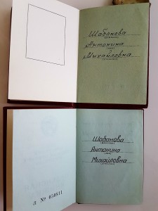 ТС2 + ТС3 на доке (горбачевский). Люксище. Коробка.