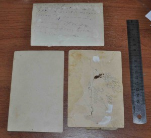 Три фото красноармейцев от 800р