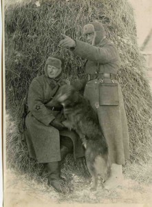 Кавалерия РККА. Лот -- 11 фото. гг.Бабушкино,Бронницы.1941 г