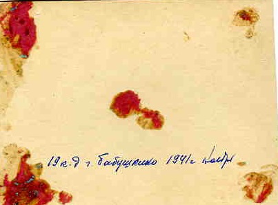 Кавалерия РККА. Лот -- 11 фото. гг.Бабушкино,Бронницы.1941 г