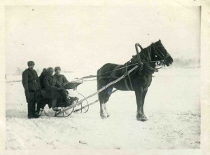 Кавалерия РККА. Лот -- 11 фото. гг.Бабушкино,Бронницы.1941 г