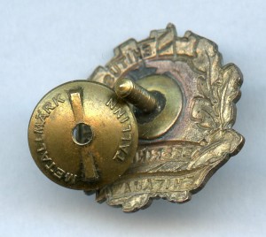 Отличный Строитель Эстонской ССР редкий знак.