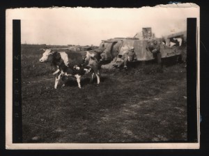 Архив военного фотокора, 44-45 г.г.
