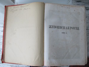 "Живописная Россия" (9-10 том)